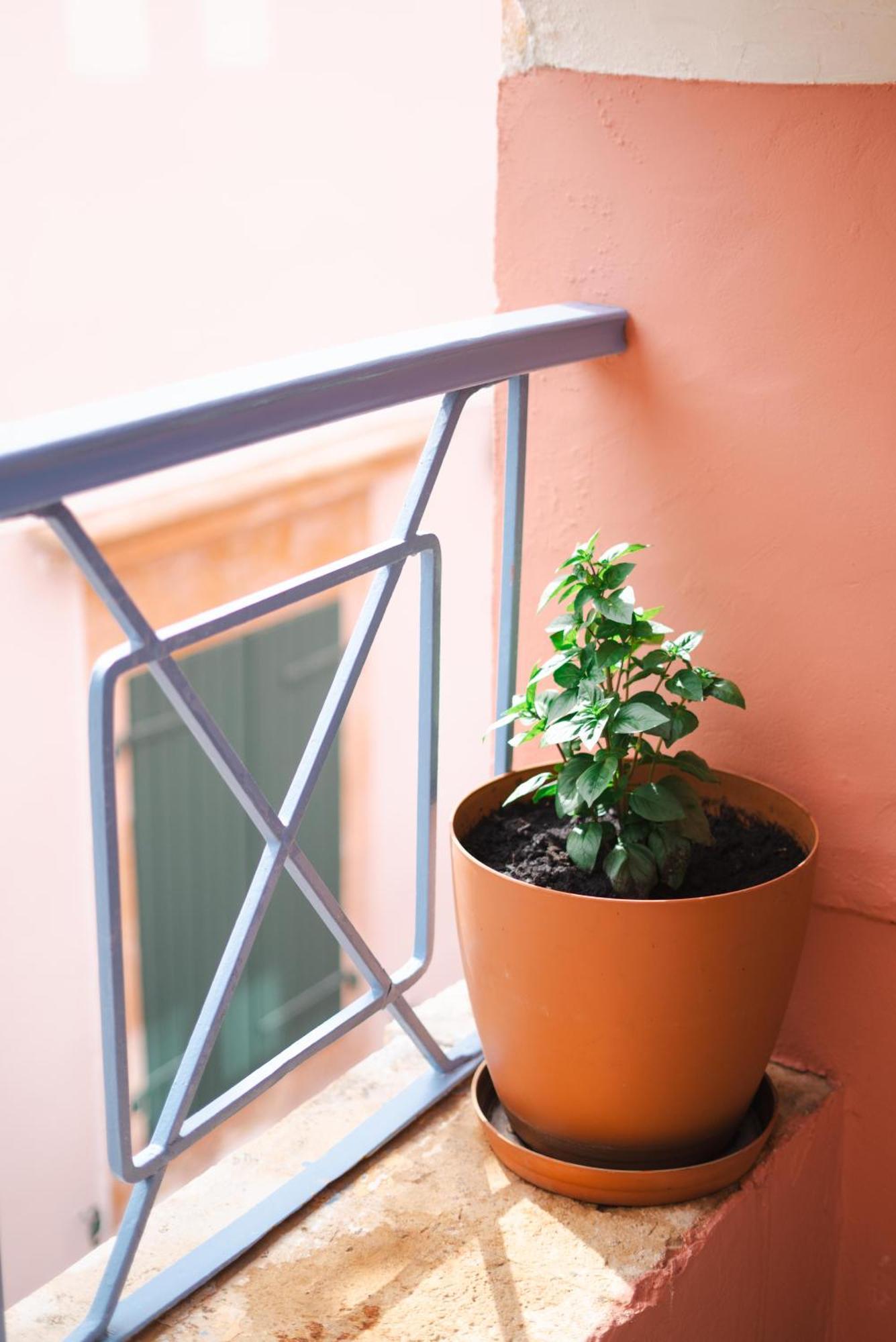 Authentic Suites In Fiscardo 피스카던 외부 사진